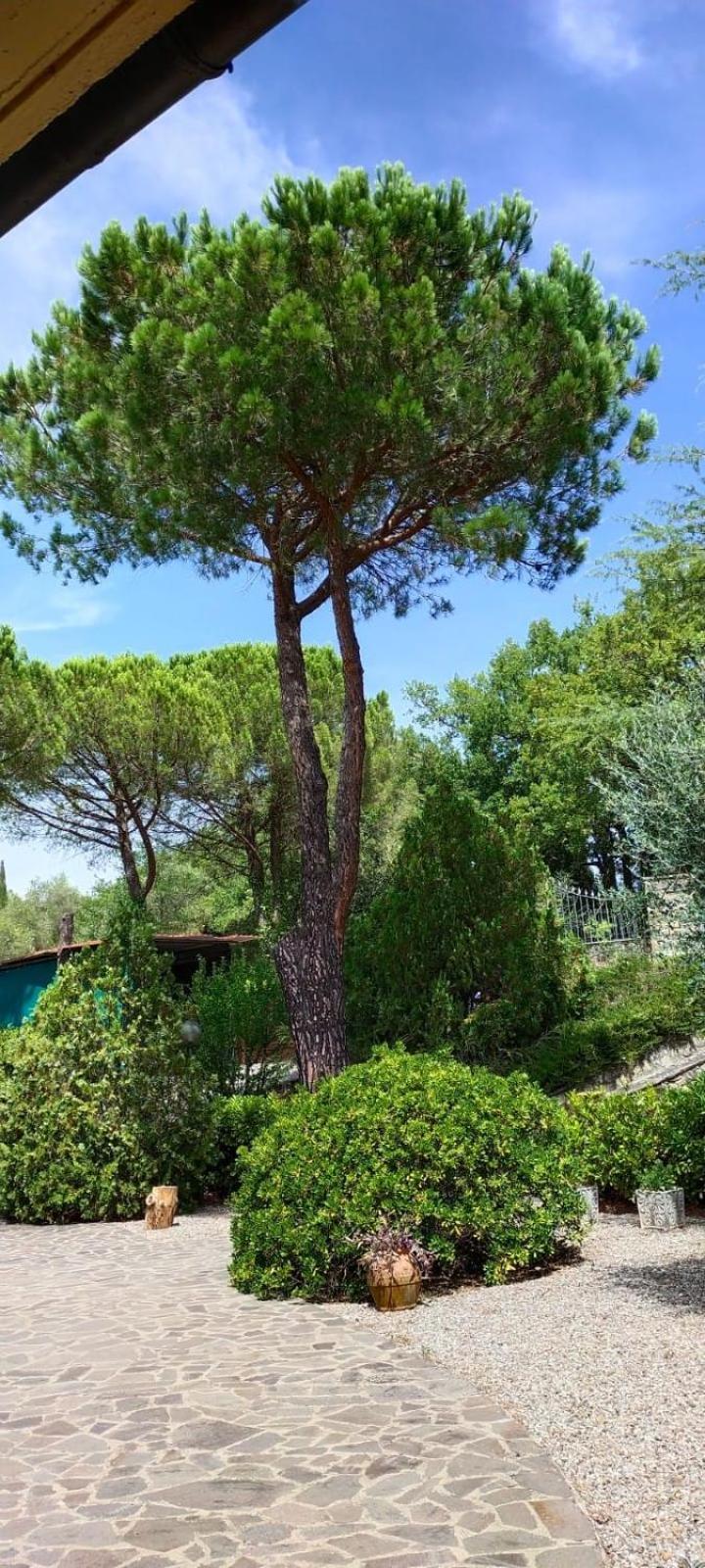 Villa Santa Margherita - La Suvera Ponte A Bozzone Exteriör bild