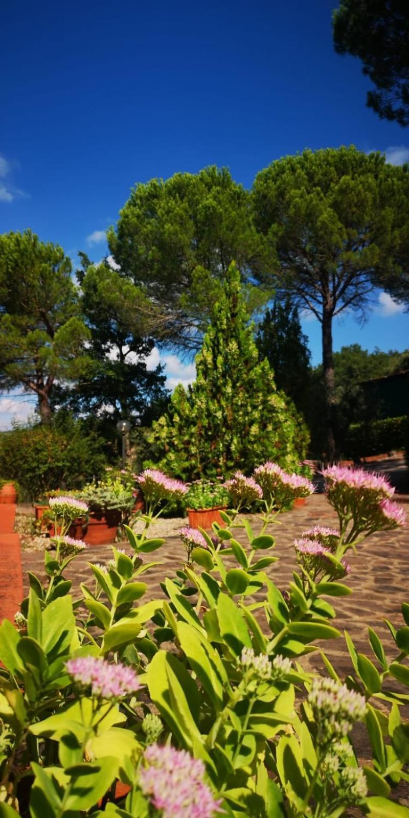 Villa Santa Margherita - La Suvera Ponte A Bozzone Exteriör bild