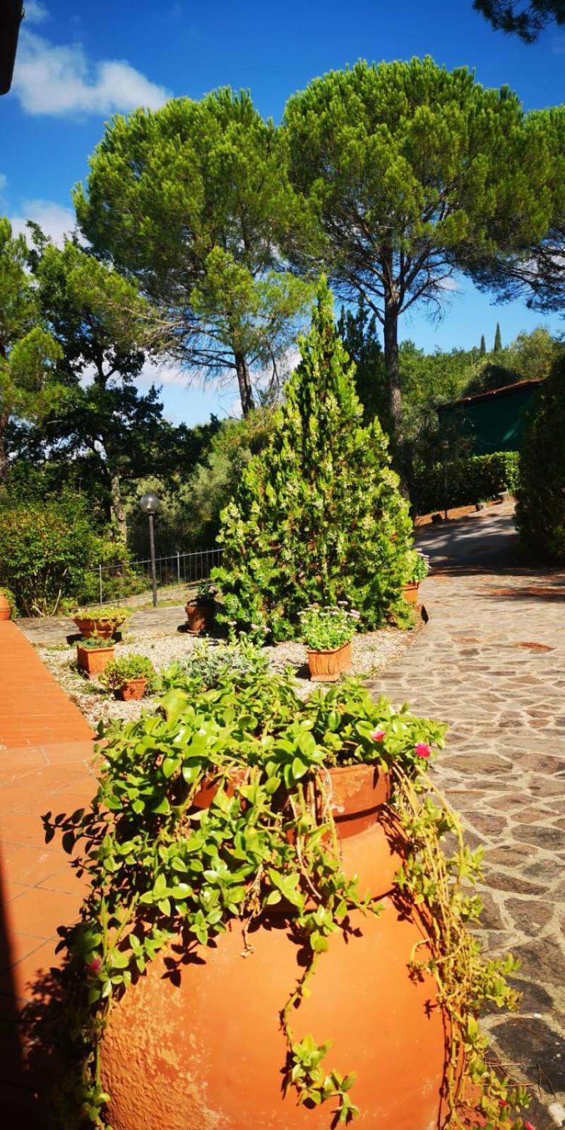 Villa Santa Margherita - La Suvera Ponte A Bozzone Exteriör bild