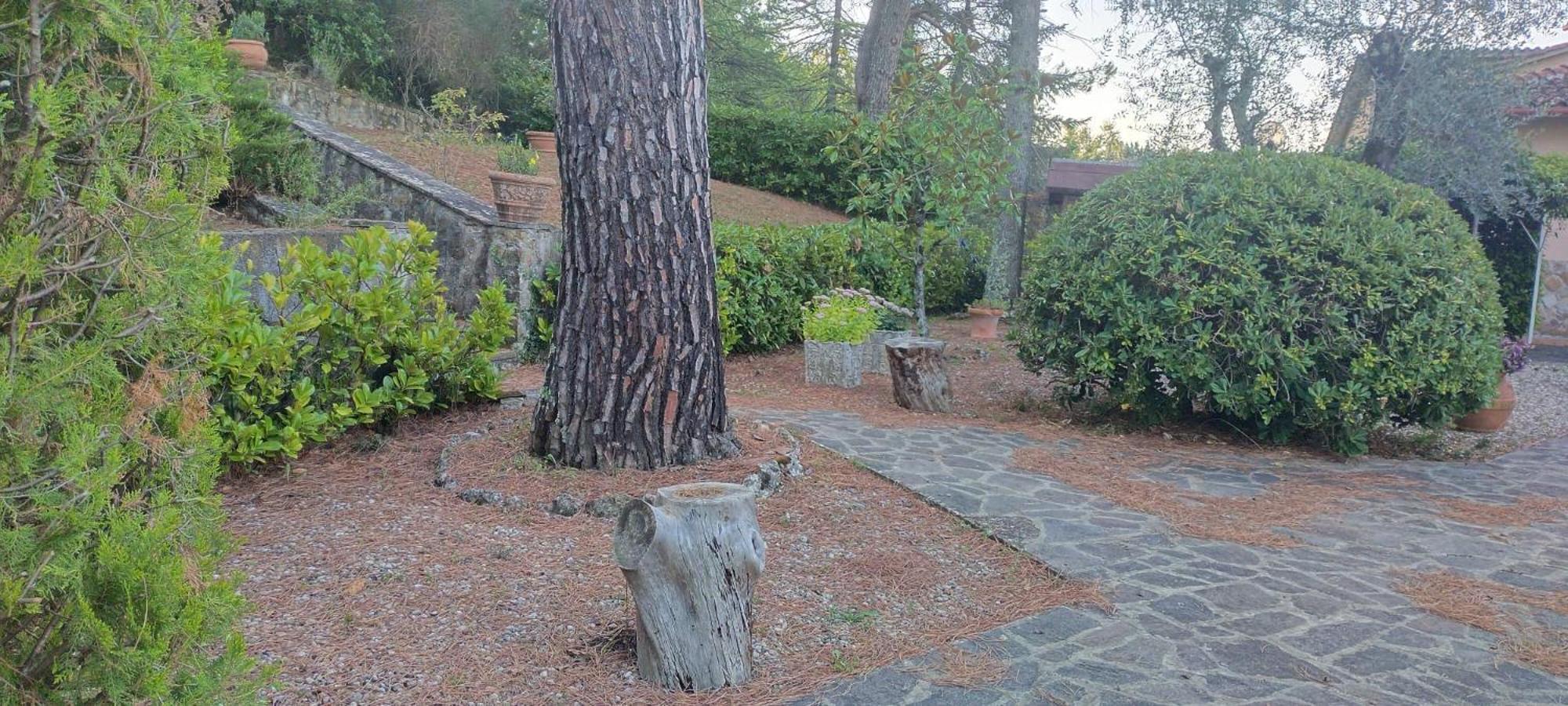 Villa Santa Margherita - La Suvera Ponte A Bozzone Exteriör bild