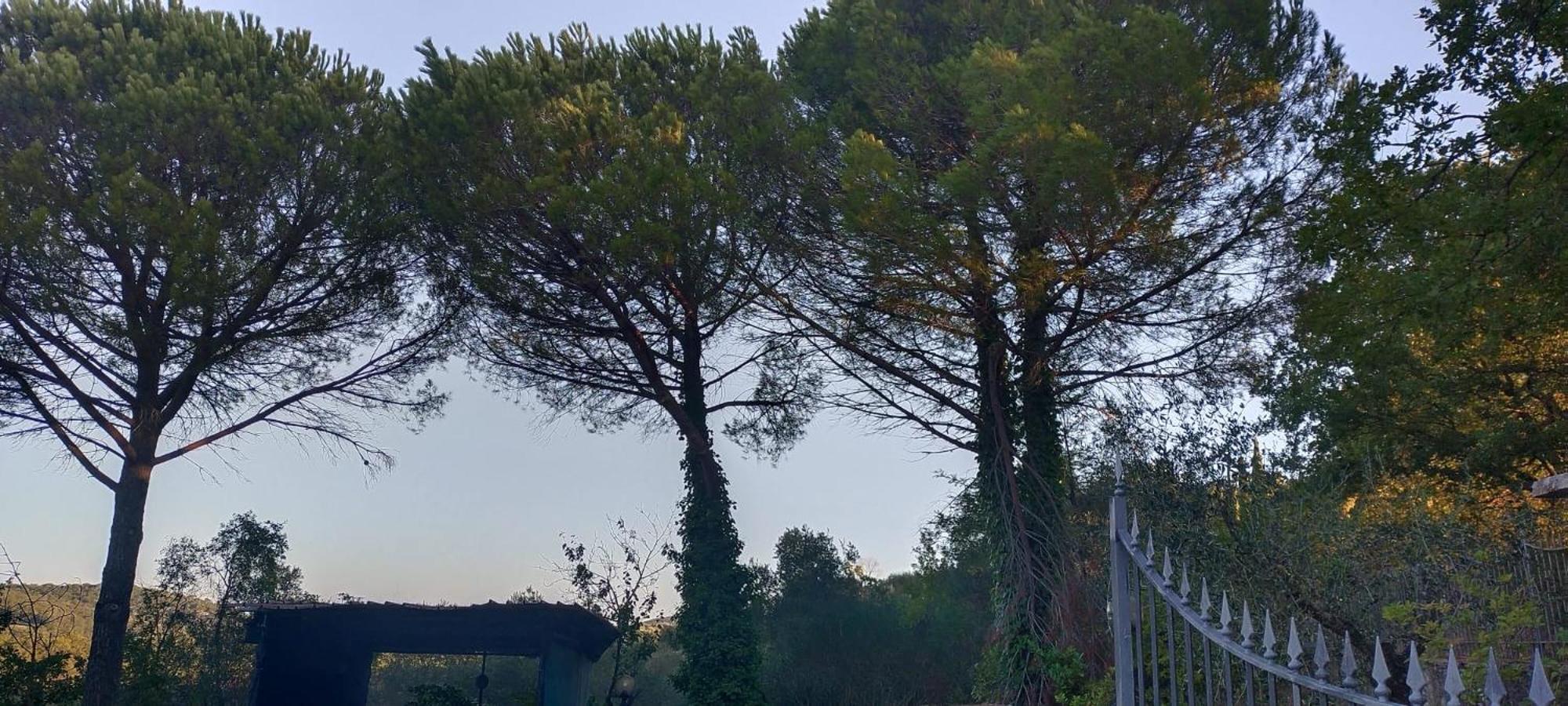 Villa Santa Margherita - La Suvera Ponte A Bozzone Exteriör bild